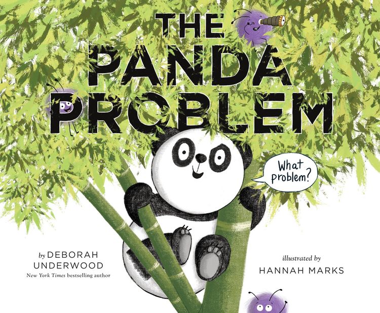 Produktbild: The Panda Problem