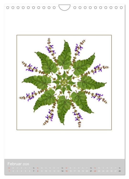 Produktbild: Pflanzen - Mandalas aus Bl&uuml;ten und Bl&auml;ttern (Wandkalender 2026 DIN A4 hoch), CALVENDO Monatskalender