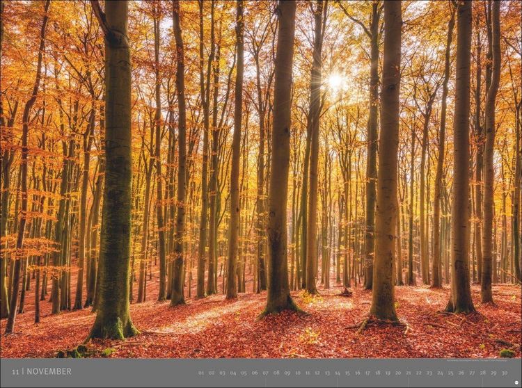 Produktbild: Deutsche Nationalparks - Edition Alexander von Humboldt Kalender 2027