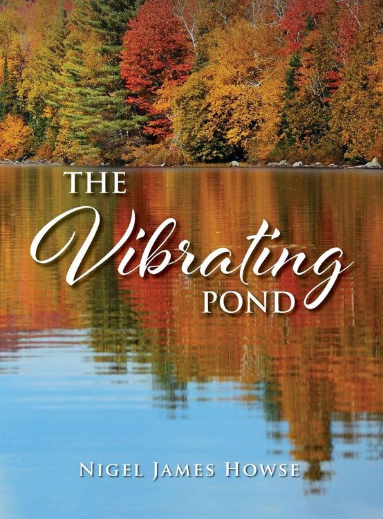 Produktbild: The Vibrating Pond