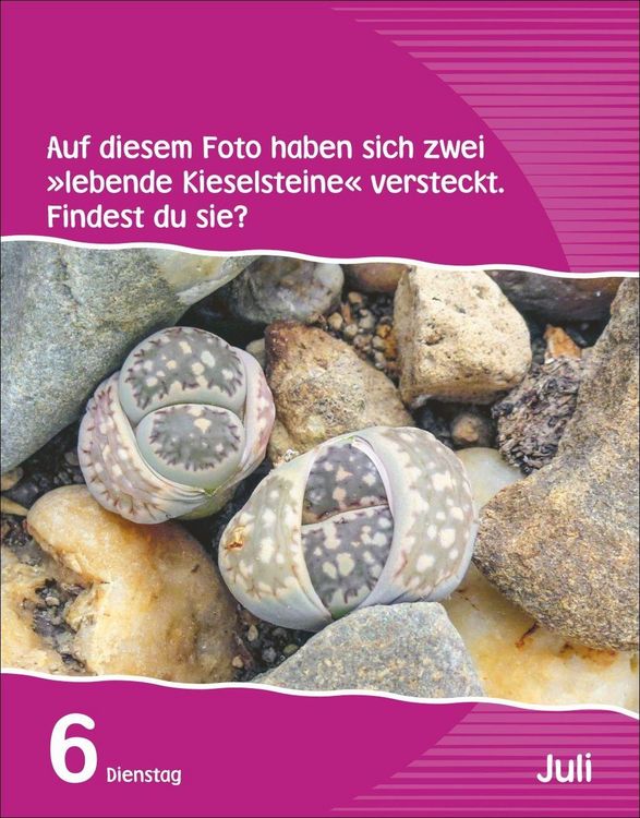 Produktbild: Wissen f&uuml;r Kids Tagesabrei&szlig;kalender 2027