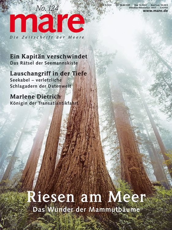Produktbild: mare - Die Zeitschrift der Meere / No. 124 / B&auml;ume