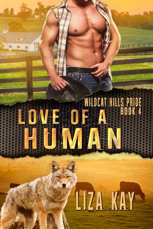 Produktbild: Love of a Human (Wildcat Hills Pride, #4)