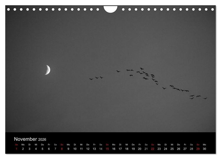 Produktbild: BLACK 'N WHITE (Wandkalender 2026 DIN A4 quer), CALVENDO Monatskalender