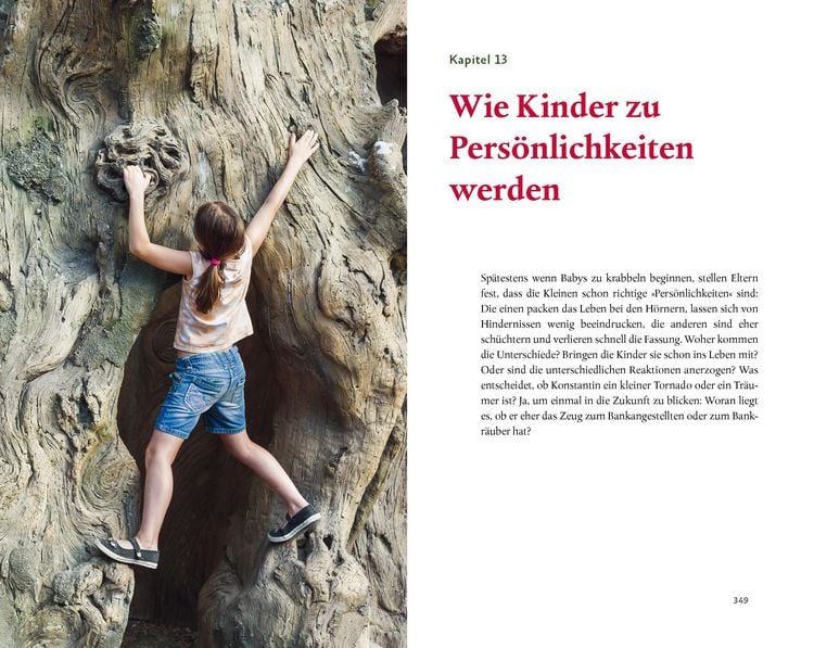 Produktbild: Kinder verstehen