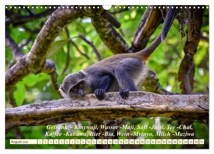 Produktbild: Jambo Kenya (Wandkalender 2026 DIN A3 quer), CALVENDO Monatskalender