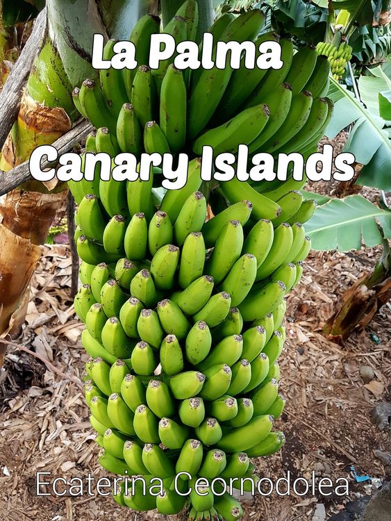 Produktbild: La Palma, Canary Islands