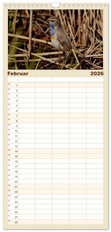 Produktbild: Familienplaner 2026 - V&ouml;gel ganz nah mit 5 Spalten (Wandkalender, 21 x 45 cm) CALVENDO