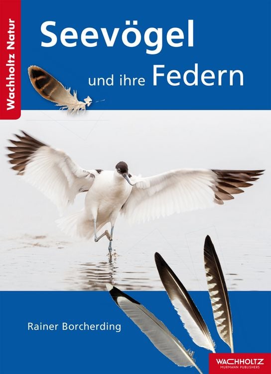 Produktbild: Seev&ouml;gel und ihre Federn