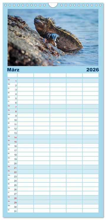 Produktbild: Familienplaner 2026 - Drachen: Geheimnisvolles Tierreich mit 5 Spalten (Wandkalender, 21 x 45 cm) CALVENDO