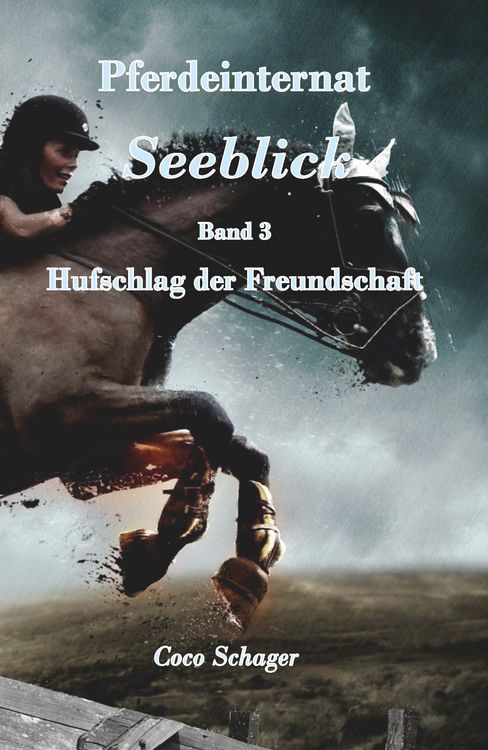 Produktbild: Pferdeinternat Seeblick Band 3