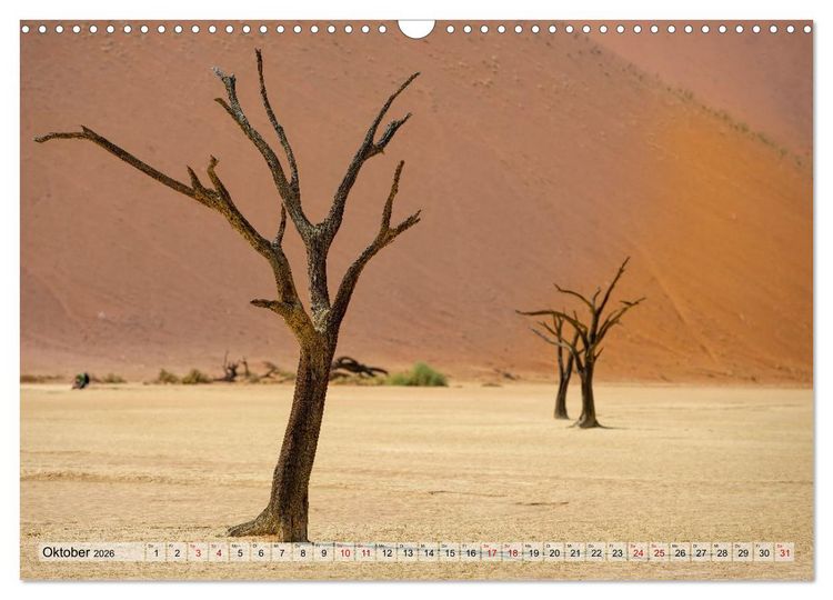 Produktbild: Namibia - Simbabwe - Botswana Leben zwischen W&uuml;ste und Wildnis (Wandkalender 2026 DIN A3 quer), CALVENDO Monatskalender