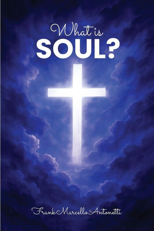 Produktbild: What is the soul?