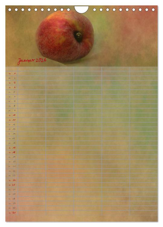 Produktbild: Familienplaner f&uuml;r die K&uuml;che. (Wandkalender 2026 DIN A4 hoch), CALVENDO Monatskalender