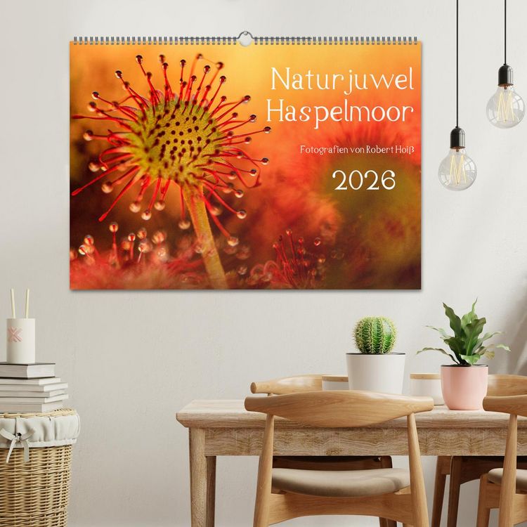 Produktbild: Naturjuwel Haspelmoor (Wandkalender 2026 DIN A2 quer), CALVENDO Monatskalender