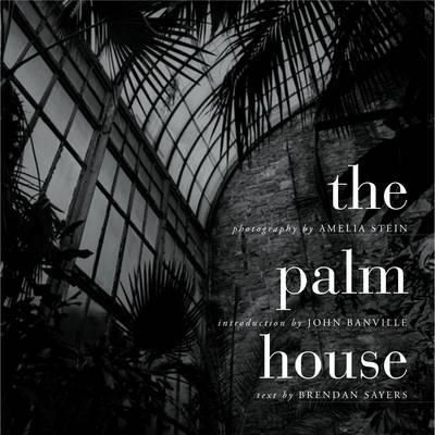 Produktbild: Dublins Palm House Amelia Stei