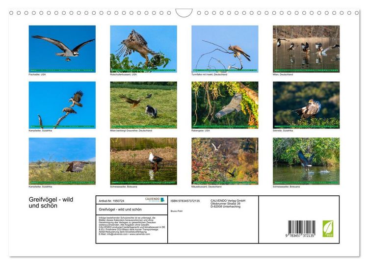 Produktbild: Greifv&ouml;gel - wild und sch&ouml;n (Wandkalender 2026 DIN A3 quer), CALVENDO Monatskalender