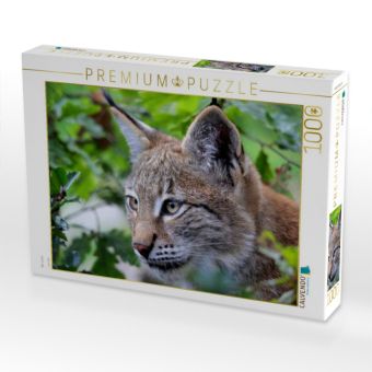 Produktbild: CALVENDO Puzzle Der Luchs | 1000 Teile Lege-Gr&ouml;&szlig;e 64x48cm Foto-Puzzle f&uuml;r gl&uuml;ckliche Stunden