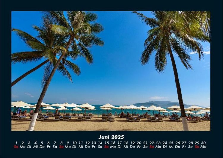 Produktbild: Palmentraum 2025 Fotokalender DIN A4