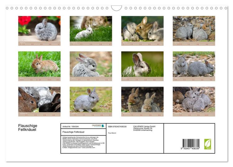 Produktbild: Flauschige Fellkn&auml;uel (Wandkalender 2026 DIN A3 quer), CALVENDO Monatskalender