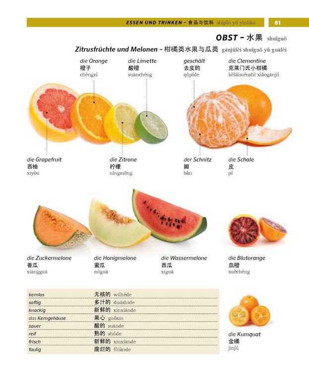 Produktbild: PONS Bildw&ouml;rterbuch Chinesisch