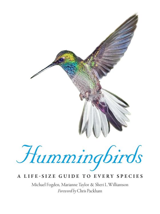 Produktbild: Hummingbirds