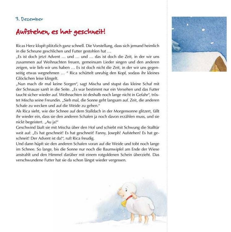 Produktbild: Neue Weihnachtsfreunde f&uuml;r Rica