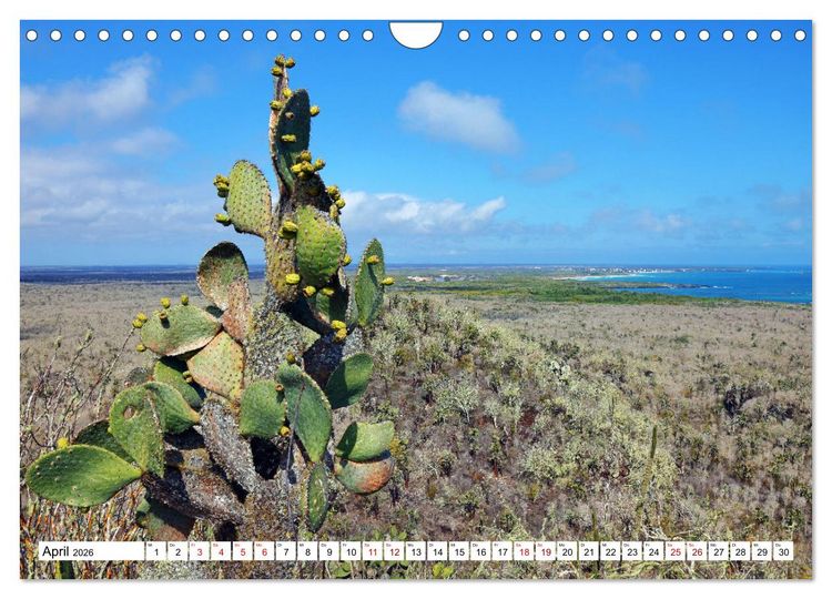 Produktbild: Gal&aacute;pagos - Die verwunschenen Inseln (Wandkalender 2026 DIN A4 quer), CALVENDO Monatskalender
