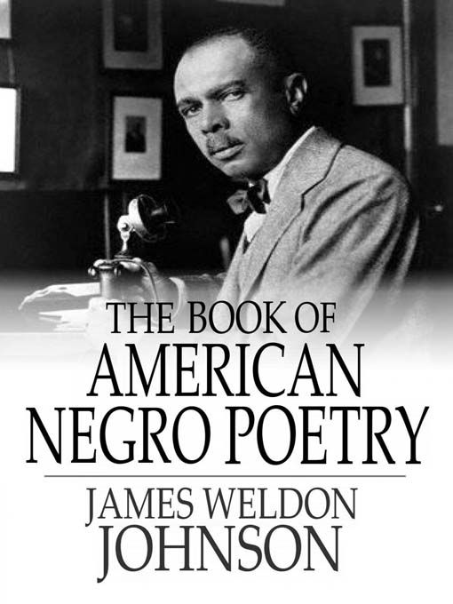 Produktbild: Book of American Negro Poetry