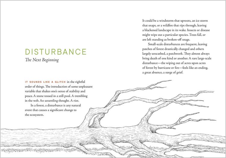 Produktbild: A Forest Language