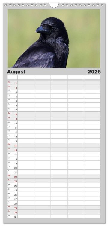 Produktbild: Familienplaner 2026 - Rabenschwarze Impressionen - meike-ajo-dettlaff.de via wildvogelhlfe.org mit 5 Spalten (Wandkalender, 21 x 45 cm) CALVENDO