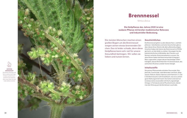 Produktbild: Wie Wildkr&auml;uter wirken