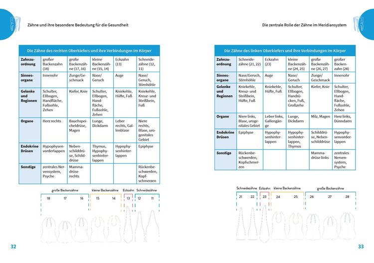 Produktbild: Die geheime Kraft der Zähne