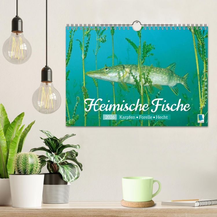 Produktbild: Heimische Fische: Karpfen, Forelle, Hecht (Wandkalender 2026 DIN A4 quer), CALVENDO Monatskalender