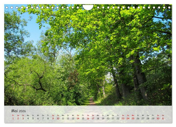 Produktbild: Vier Jahreszeiten - Eine Welt (Wandkalender 2026 DIN A4 quer), CALVENDO Monatskalender