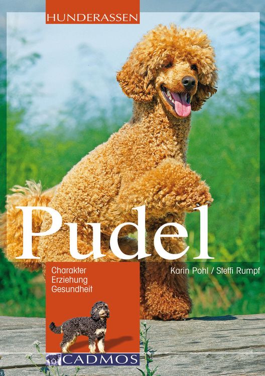 Produktbild: Pudel
