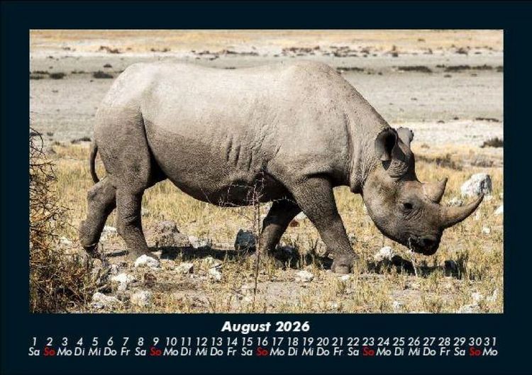 Produktbild: Tiere im Zoo 2026 Fotokalender DIN A5