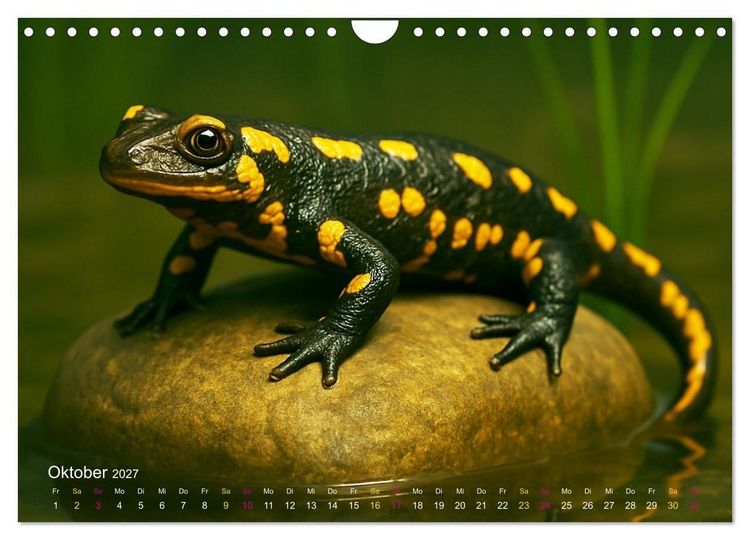 Produktbild: Reges Leben im Naturweiher - Tiere &uuml;ber und unter Wasser (Wandkalender 2027 DIN A4 quer), CALVENDO Monatskalender