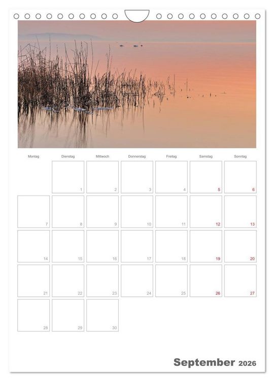 Produktbild: Insel R&uuml;gen / Planer (Wandkalender 2026 DIN A4 hoch), CALVENDO Monatskalender