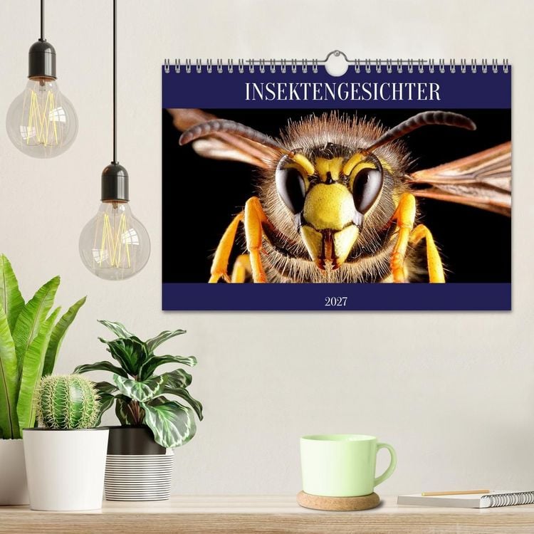 Produktbild: INSEKTENGESICHTER (Wandkalender 2027 DIN A4 quer), CALVENDO Monatskalender