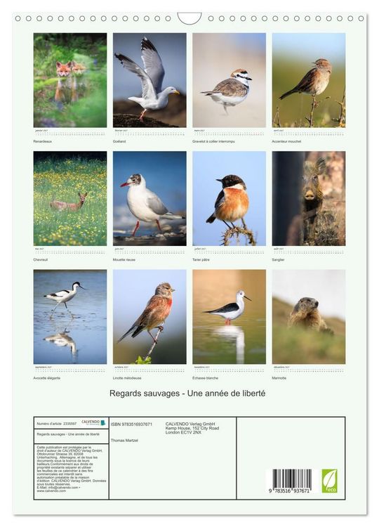 Produktbild: Regards sauvages - Une ann&eacute;e de libert&eacute; (Calendrier mural 2027 DIN A3 horizontal), CALVENDO calendrier mensuel