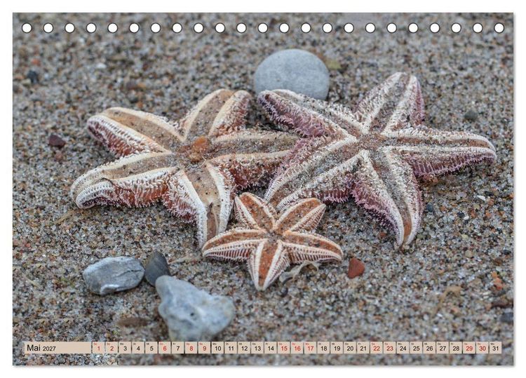 Produktbild: Timmendorfer Strand - Urlaubsparadies an der Ostsee (Tischkalender 2027 DIN A5 quer), CALVENDO Monatskalender