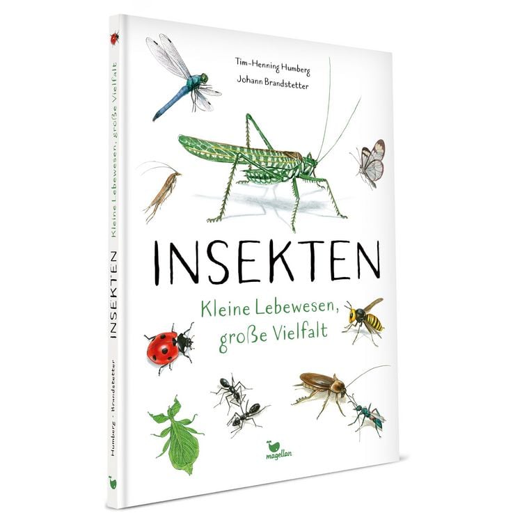Produktbild: Insekten - Kleine Lebewesen, gro&szlig;e Vielfalt