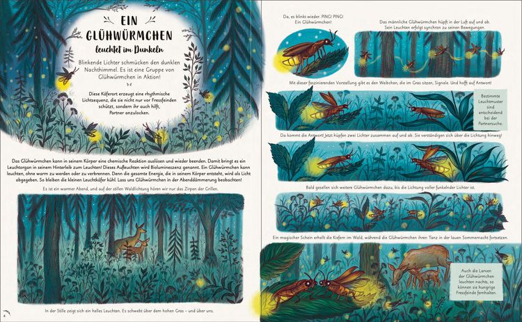 Produktbild: Wunder der Natur. Ein Augenblick zum Innehalten und Staunen