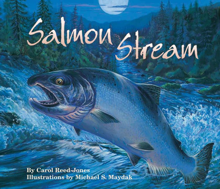 Produktbild: Salmon Stream