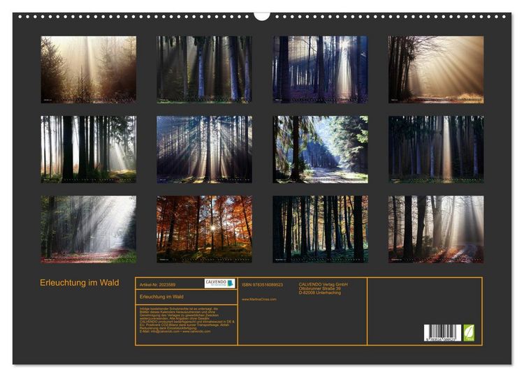 Produktbild: Erleuchtung im Wald (Wandkalender 2026 DIN A2 quer), CALVENDO Monatskalender