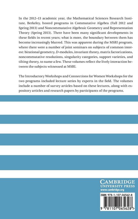 Produktbild: Commutative Algebra and Noncommutative Algebraic Geometry