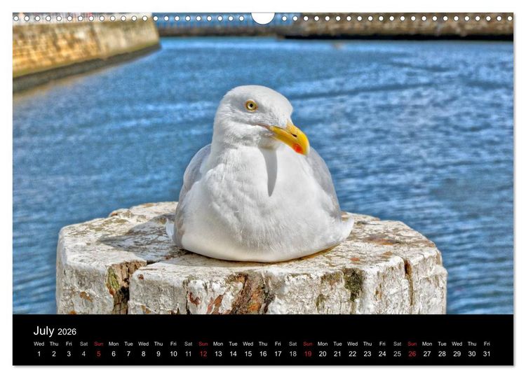 Produktbild: Whitby Harbour (Wall Calendar 2026 DIN A3 landscape), CALVENDO 12 Month Wall Calendar
