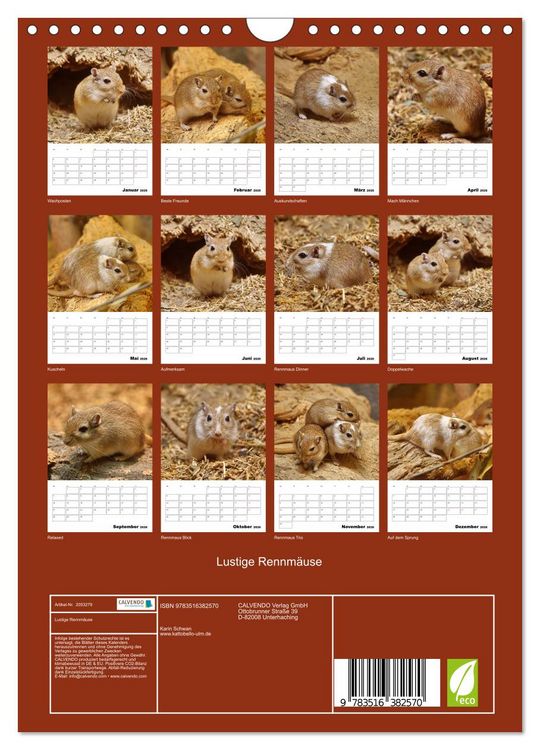 Produktbild: Lustige Rennm&auml;use (Wandkalender 2026 DIN A4 hoch), CALVENDO Monatskalender