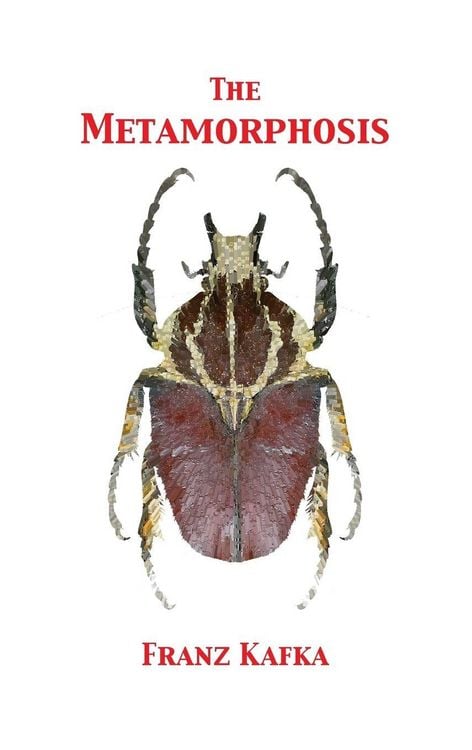 Produktbild: The Metamorphosis